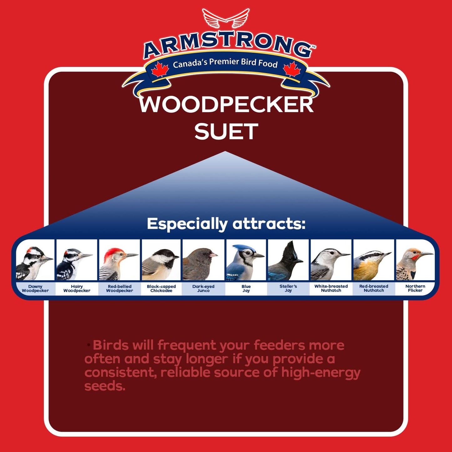 Armstrong Wild Bird Food Woodpecker Suet Cake, 10.6Oz (Pack of 12)