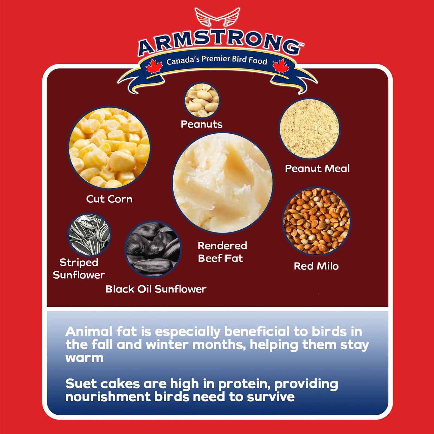 Armstrong Wild Bird Food Woodpecker Suet Cake, 10.6Oz (Pack of 12)