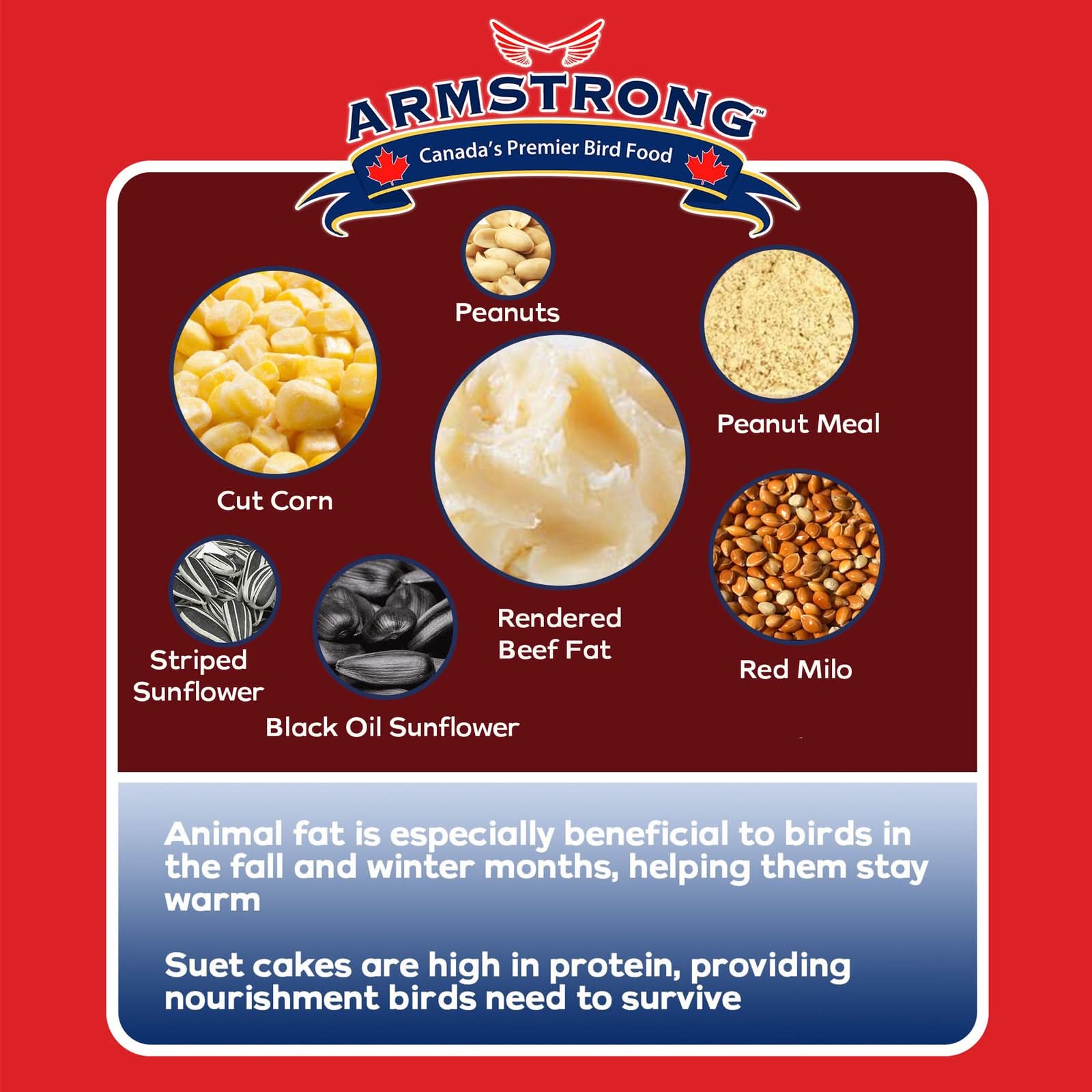 Armstrong Wild Bird Food Woodpecker Suet Cake, 10.6Oz (Pack of 12)
