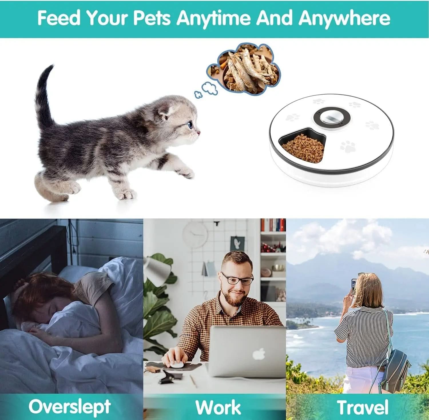 Automatic Cat Food Dispenser - Programmable Timed Feeder for Small Dogs and Cats with Voice Reminder and Portion Control for 6 Meals