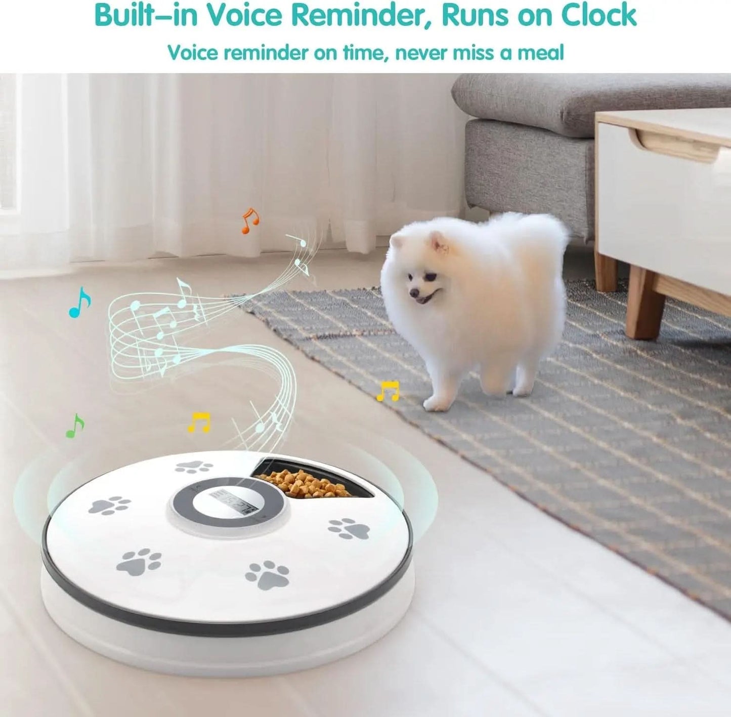 Automatic Cat Food Dispenser - Programmable Timed Feeder for Small Dogs and Cats with Voice Reminder and Portion Control for 6 Meals