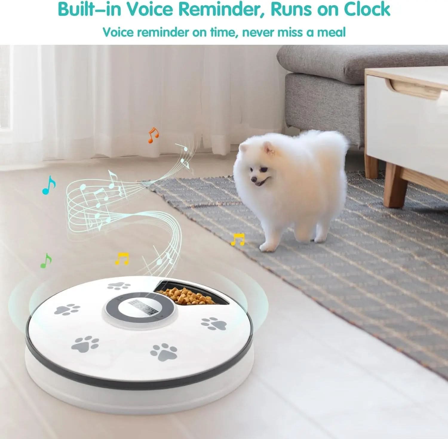 Automatic Cat Food Dispenser - Programmable Timed Feeder for Small Dogs and Cats with Voice Reminder and Portion Control for 6 Meals
