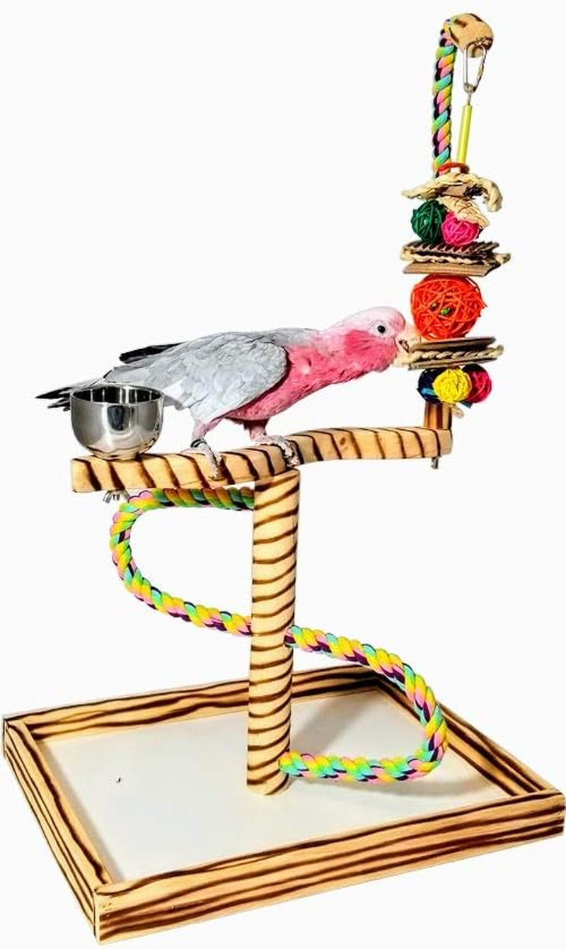 Bird Play Gym Tabletop with Cup, Toy Hanger, and Accessories - Large Javan Tigertail Stand for Birds