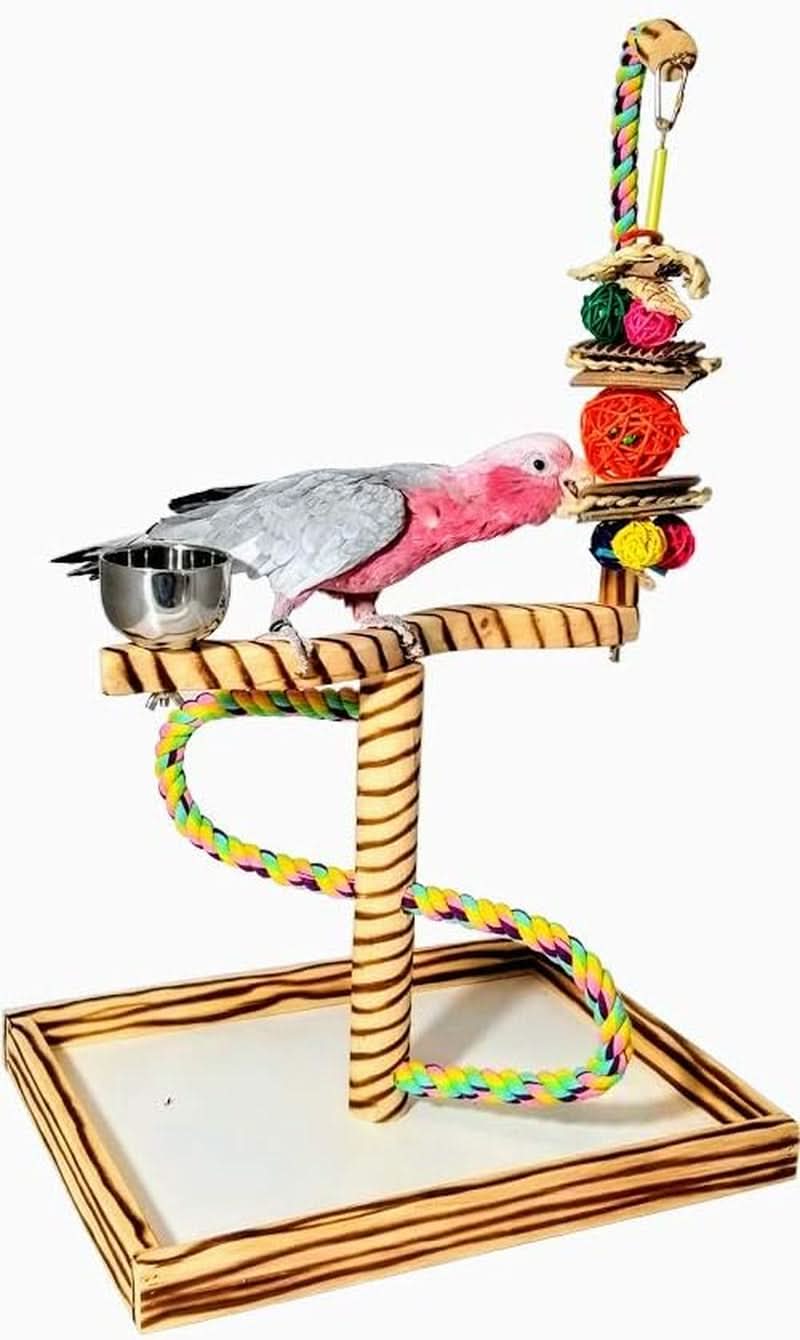 Bird Play Gym Tabletop with Cup, Toy Hanger, and Accessories - Large Javan Tigertail Stand for Birds