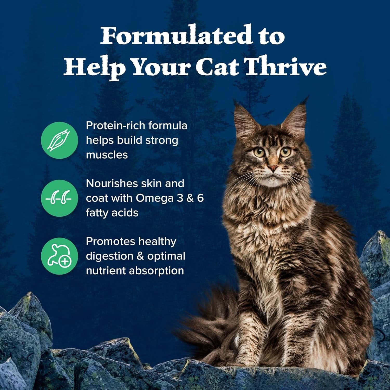 Blue Buffalo Wilderness High-Protein Grain-Free Adult Dry Cat Food with Duck, 11 lb Bag - Supports Health and Wellness