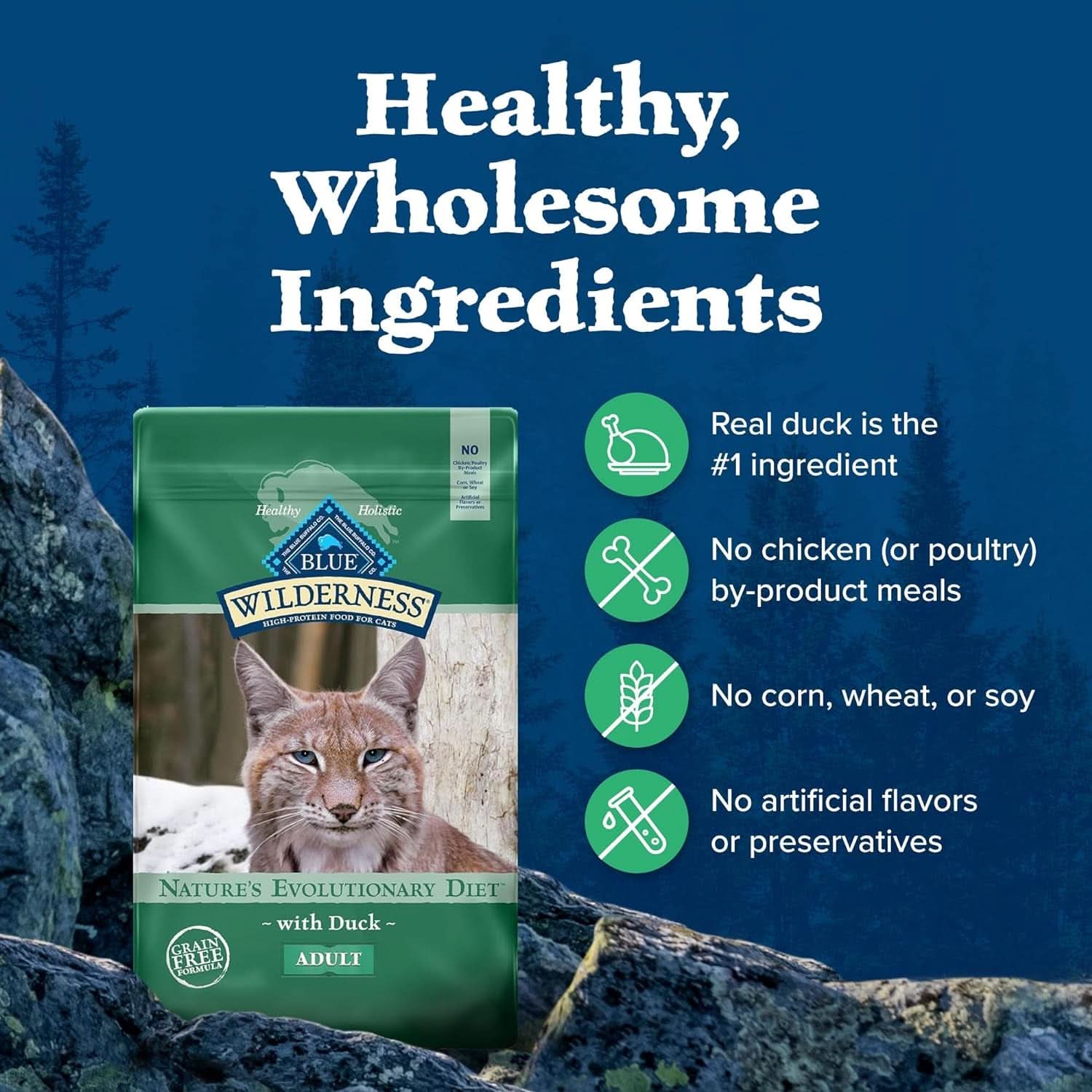 Blue Buffalo Wilderness High-Protein Grain-Free Adult Dry Cat Food with Duck, 11 lb Bag - Supports Health and Wellness