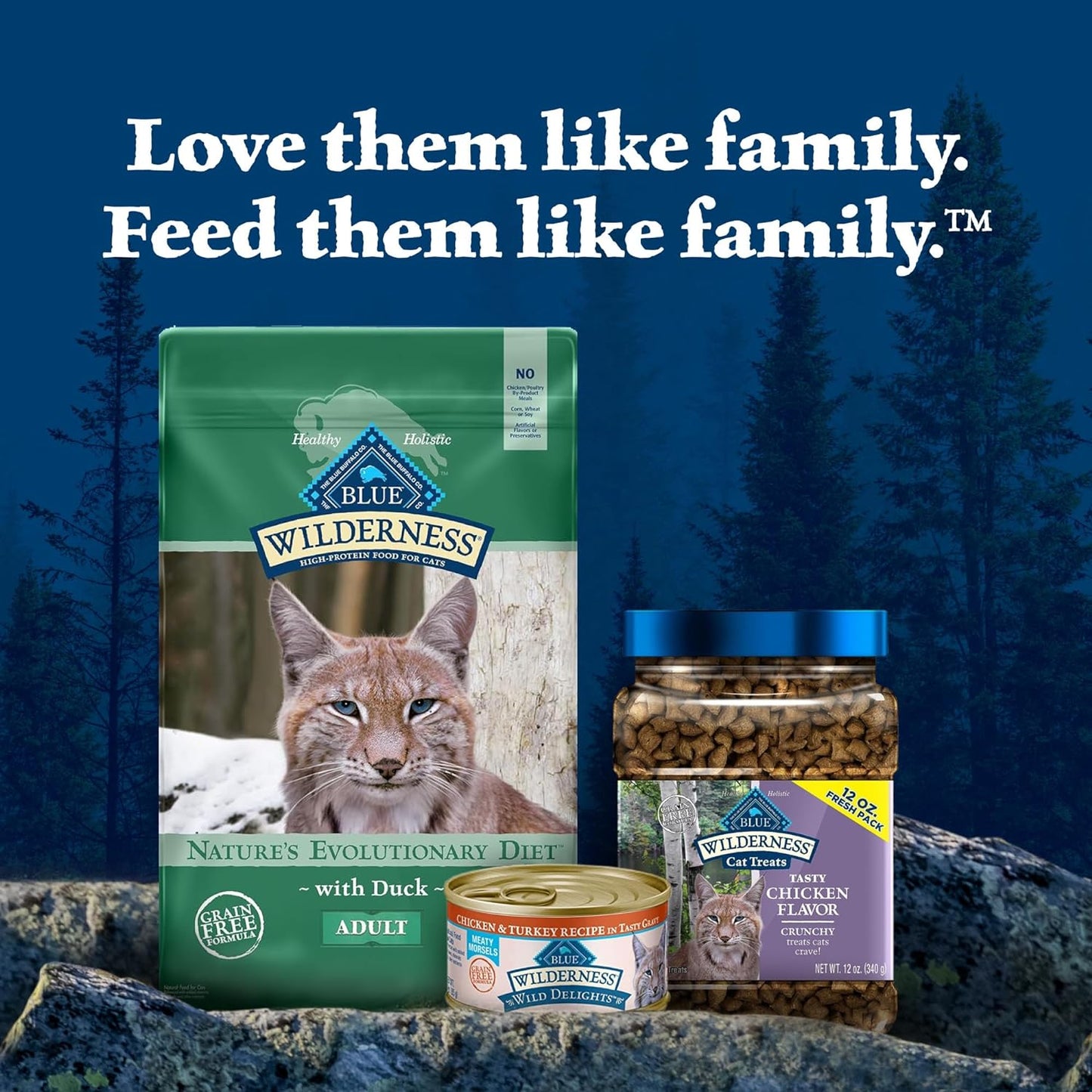 Blue Buffalo Wilderness High-Protein Grain-Free Adult Dry Cat Food with Duck, 11 lb Bag - Supports Health and Wellness