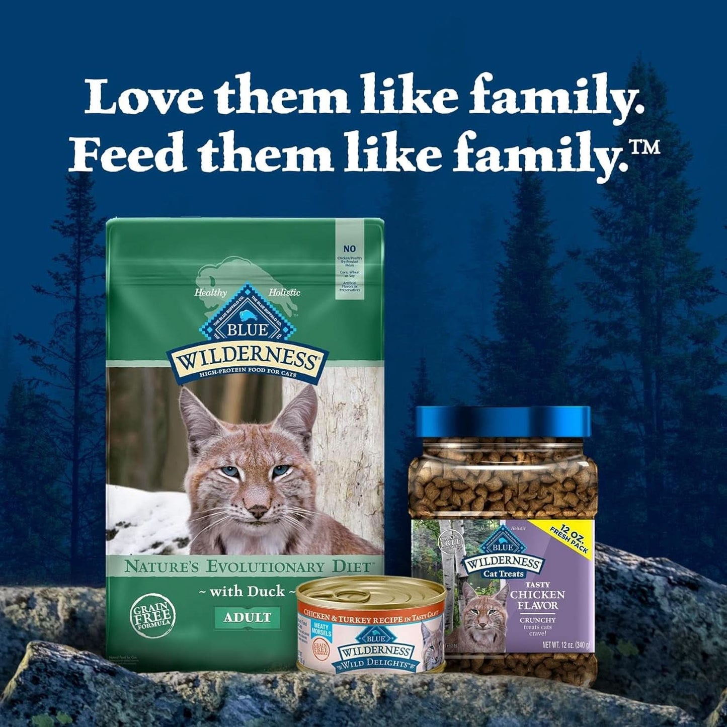 Blue Buffalo Wilderness High-Protein Grain-Free Adult Dry Cat Food with Duck, 11 lb Bag - Supports Health and Wellness