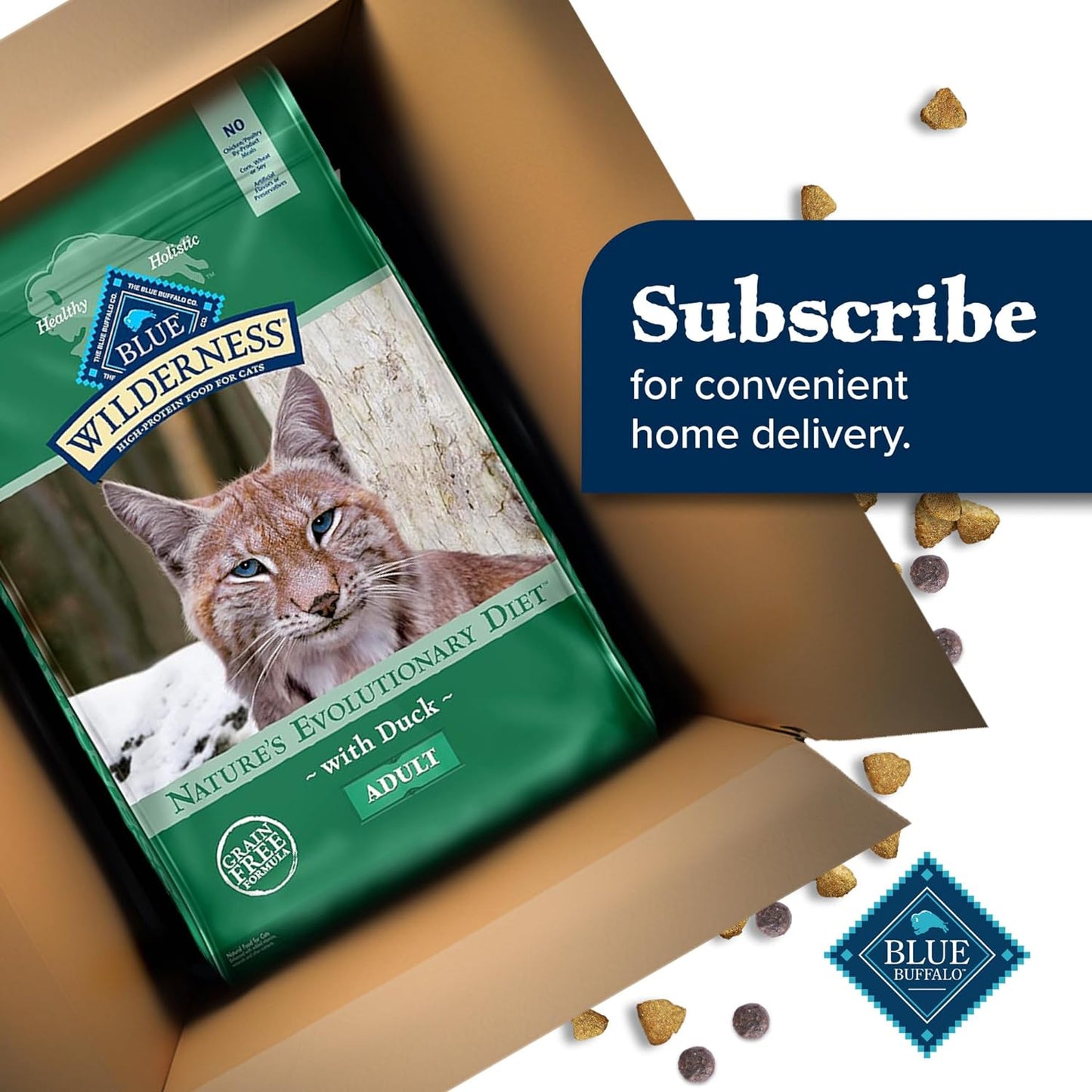 Blue Buffalo Wilderness High-Protein Grain-Free Adult Dry Cat Food with Duck, 11 lb Bag - Supports Health and Wellness