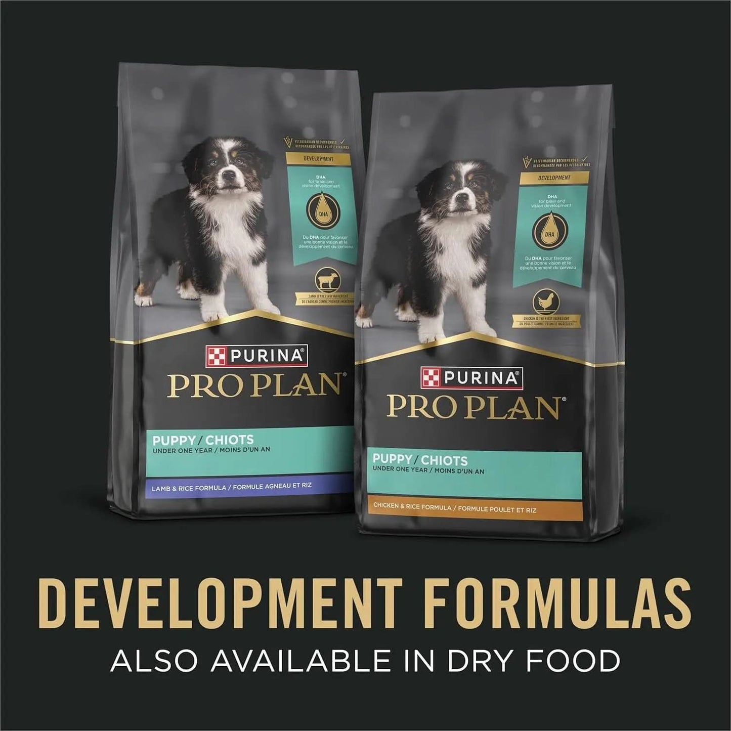 Classic Chicken and Rice Entrée Wet Puppy Food Pâté - Pack of 12 (13 oz. Cans)