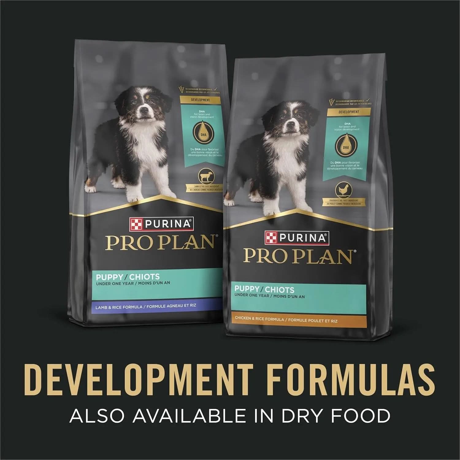 Classic Chicken and Rice Entrée Wet Puppy Food Pâté - Pack of 12 (13 oz. Cans)
