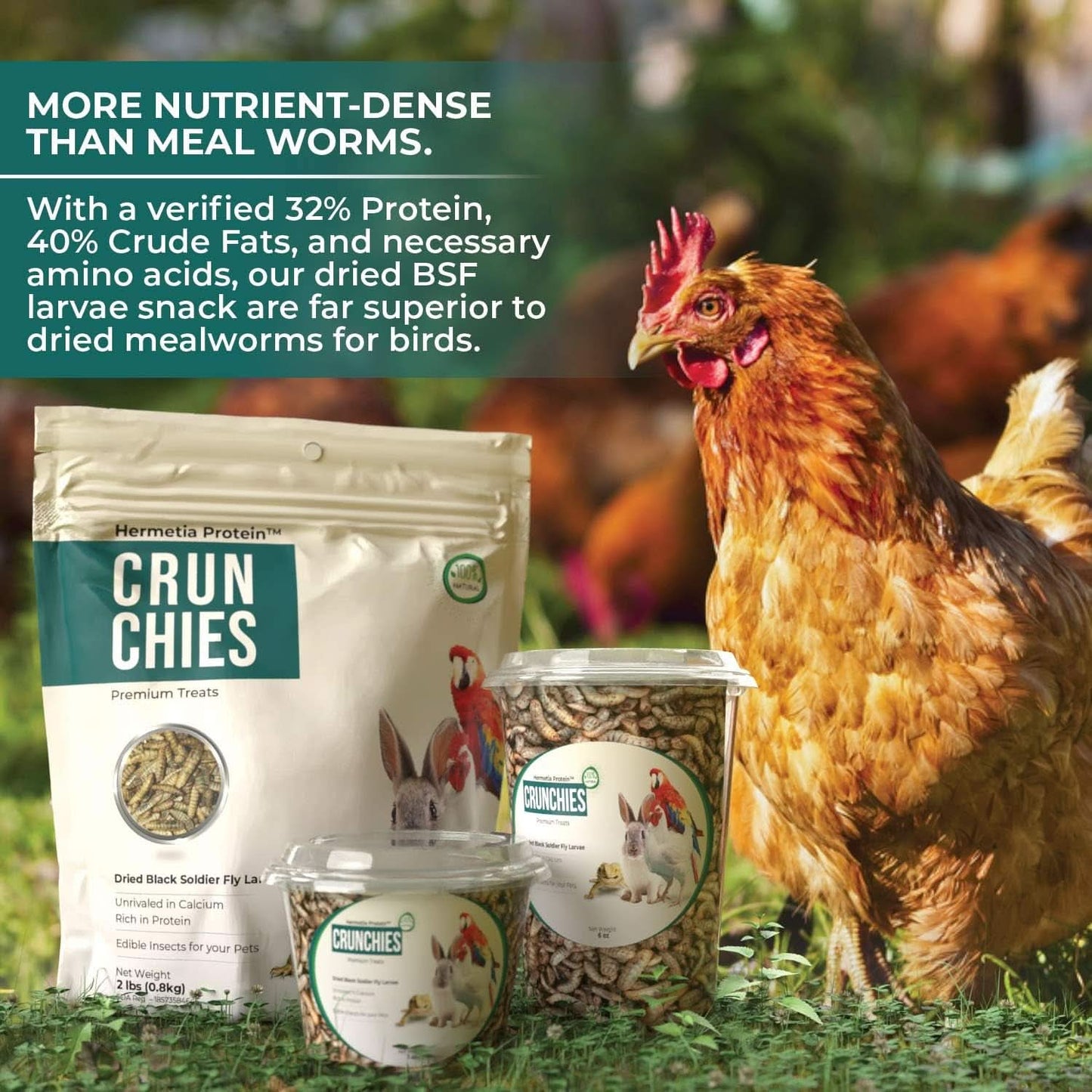 ® CRUNCHIES Dried Black Soldier Fly Larvae (1.2 lb Pouch) - Premium Bird and Chicken Treats with Higher Calcium, Protein, and Fat Content than Mealworms - Sustainably Farmed in the USA