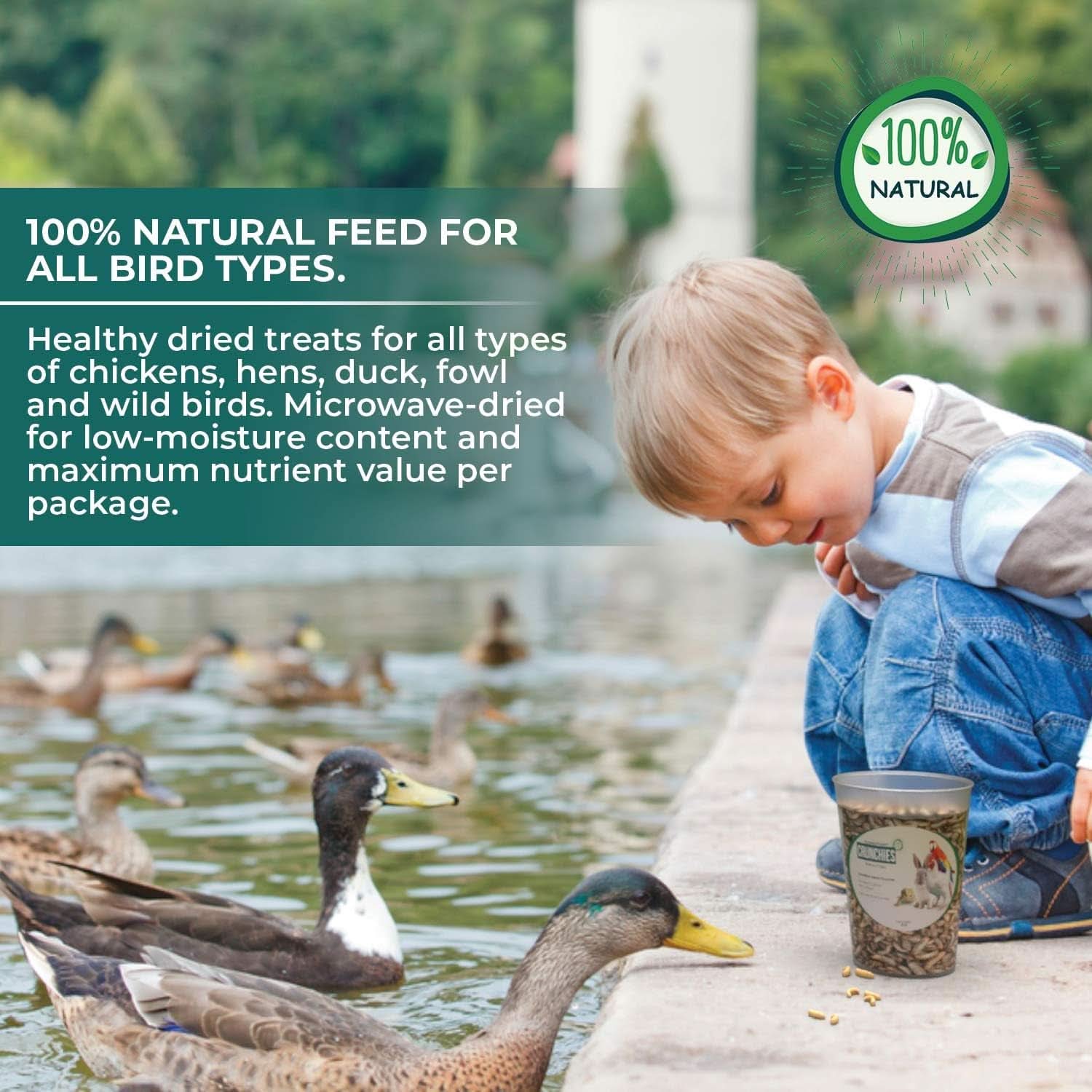 ® CRUNCHIES Dried Black Soldier Fly Larvae (1.2 lb Pouch) - Premium Bird and Chicken Treats with Higher Calcium, Protein, and Fat Content than Mealworms - Sustainably Farmed in the USA