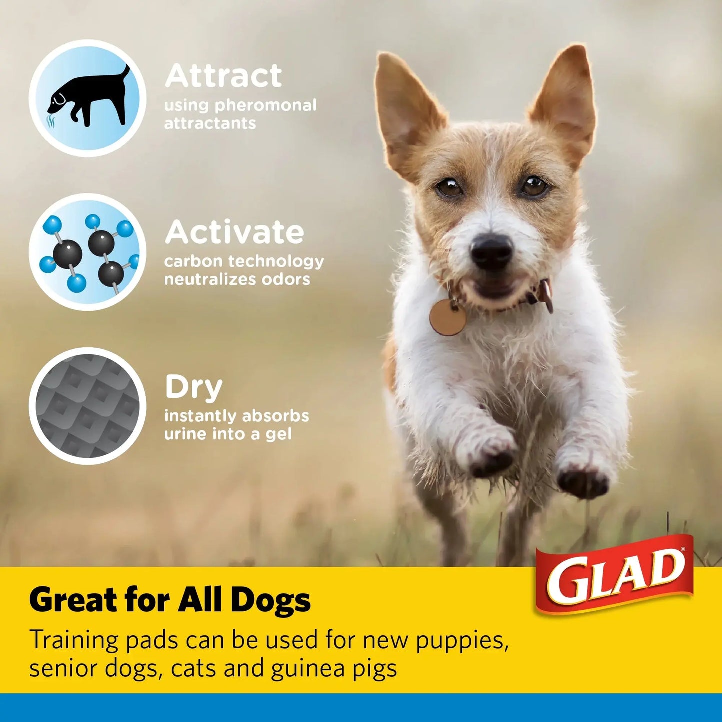 for Pets Charcoal Odor Absorbent Puppy Training Pads, 150 Ct