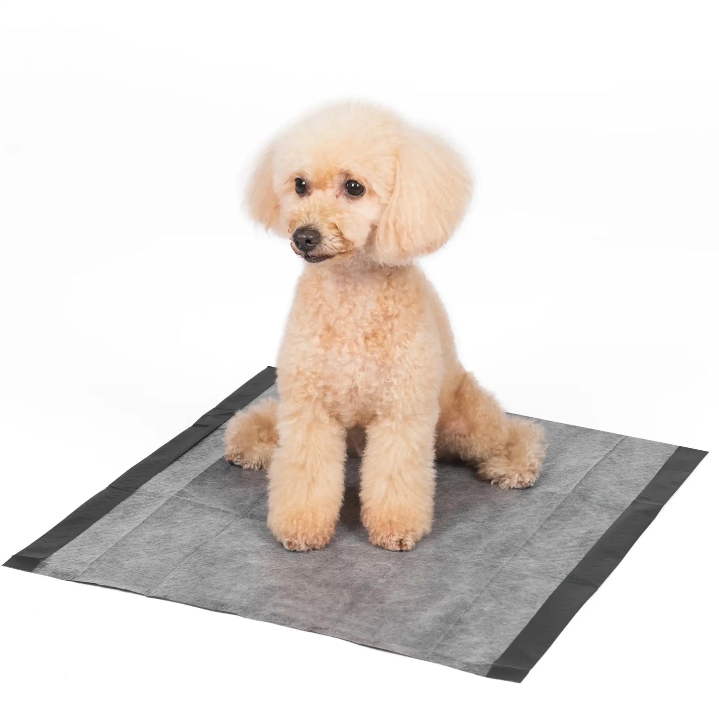 for Pets Charcoal Odor Absorbent Puppy Training Pads, 150 Ct