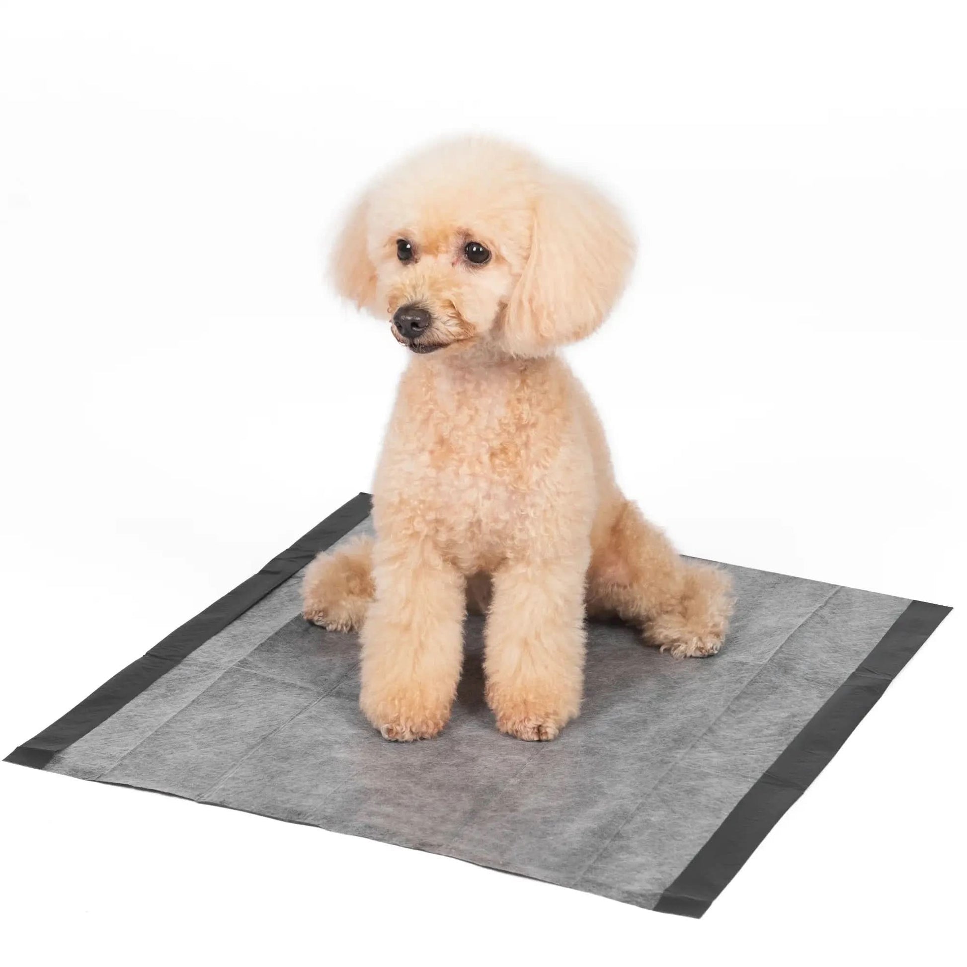 for Pets Charcoal Odor Absorbent Puppy Training Pads, 150 Ct