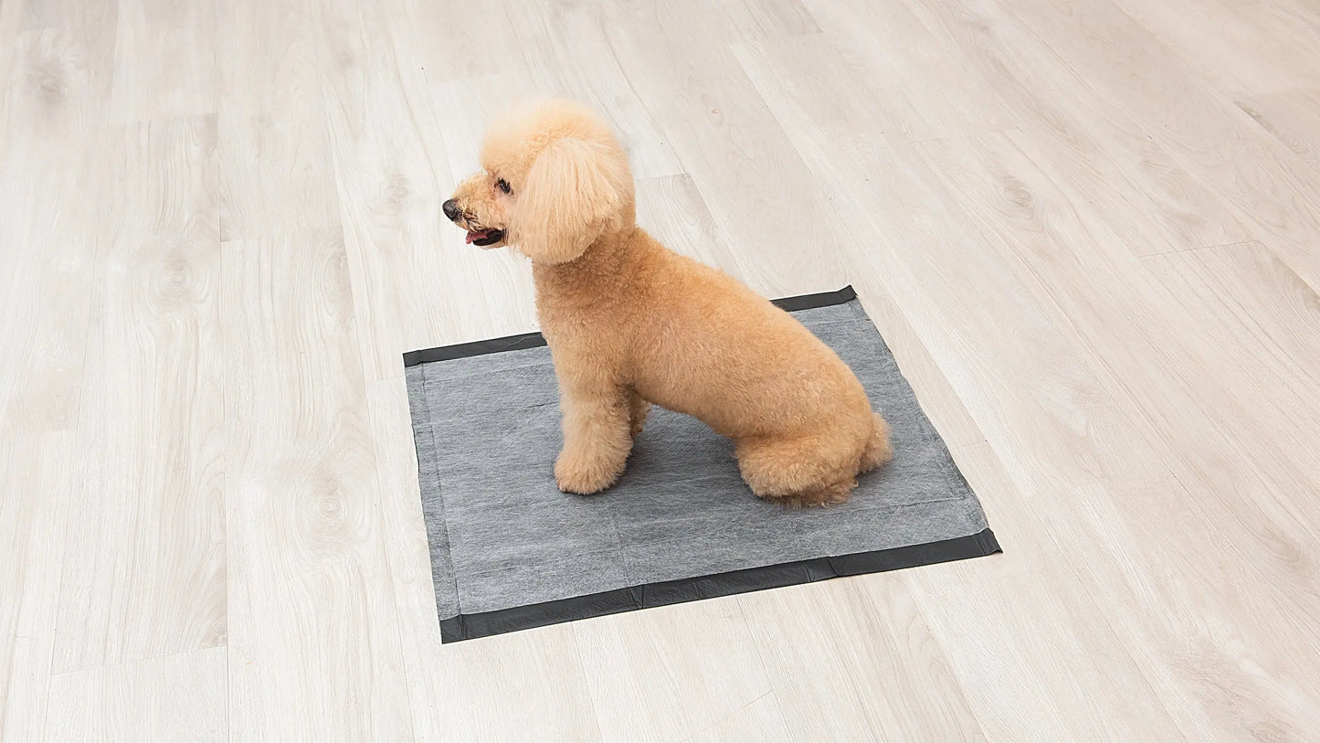 for Pets Charcoal Odor Absorbent Puppy Training Pads, 150 Ct