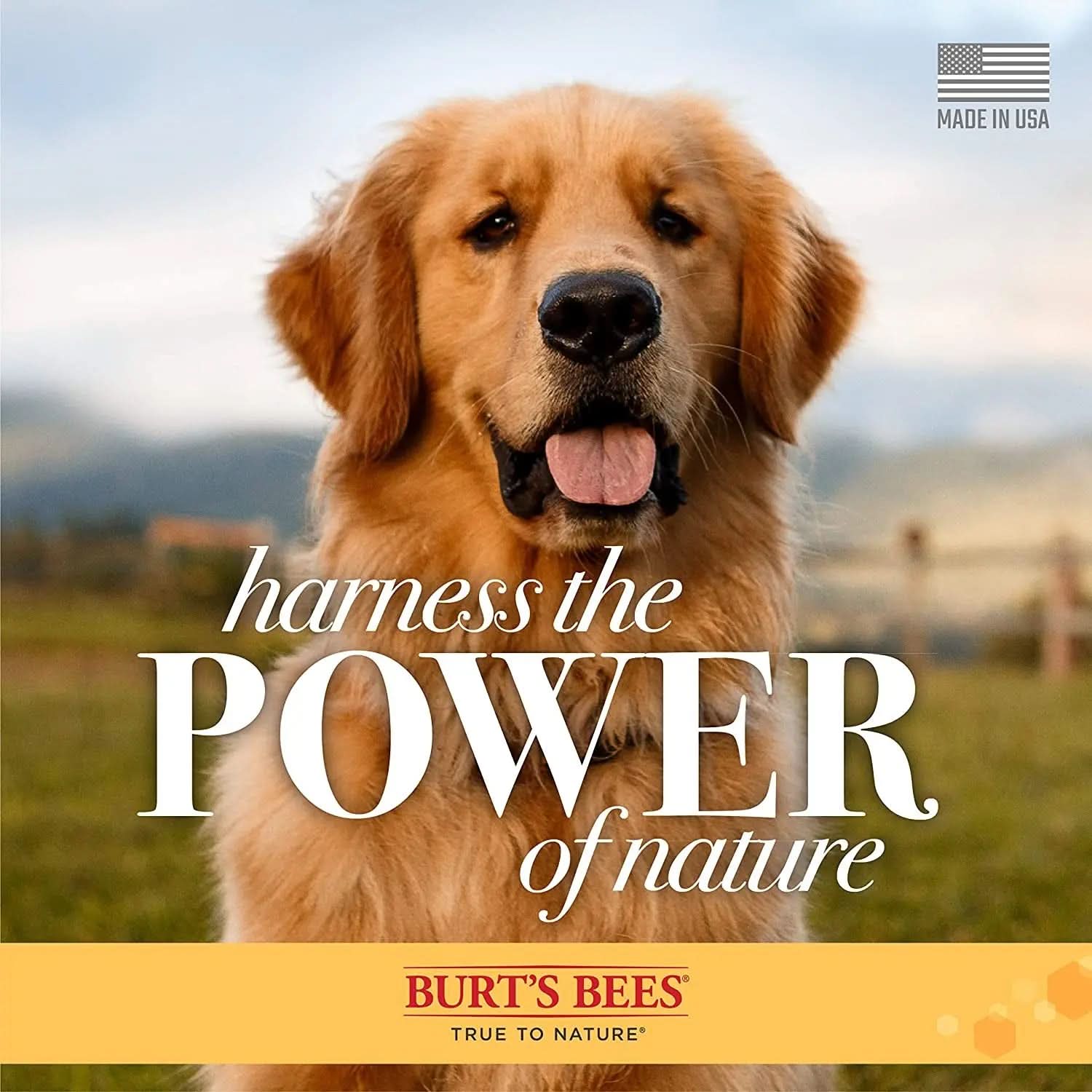 for Pets Natural Skin Soothing Shampoo with Honey - Gentle Formula for All Dogs and Puppies - Ideal for Dry and Sensitive Skin - Made in the USA, 16 Ounces