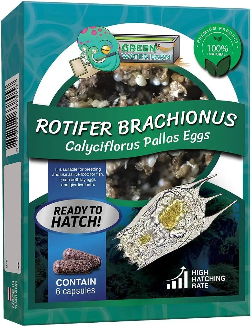 Greenwaterfarm Live Brachionus Calyciflorus Rotifer Eggs - Premium Fish Food for Hatching and Culturing, Ideal for Betta Fish