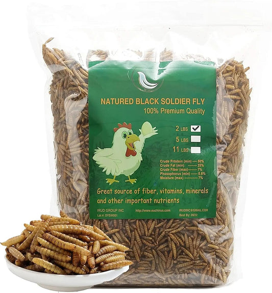 High-Protein Non-GMO Dried Black Soldier Fly Larvae for Poultry, Ducks, Wild Birds, and Reptiles (22 lb)