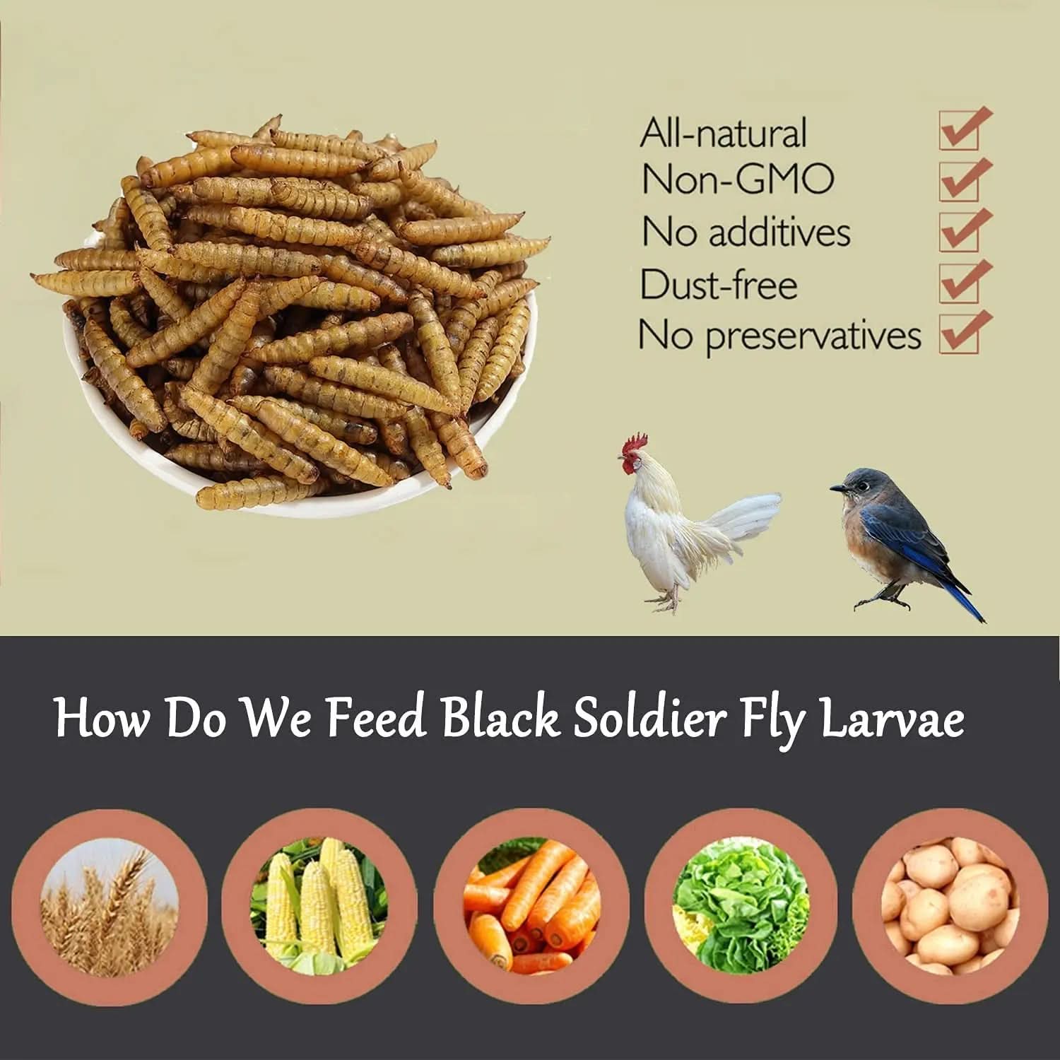 High-Protein Non-GMO Dried Black Soldier Fly Larvae for Poultry, Ducks, Wild Birds, and Reptiles (22 lb)