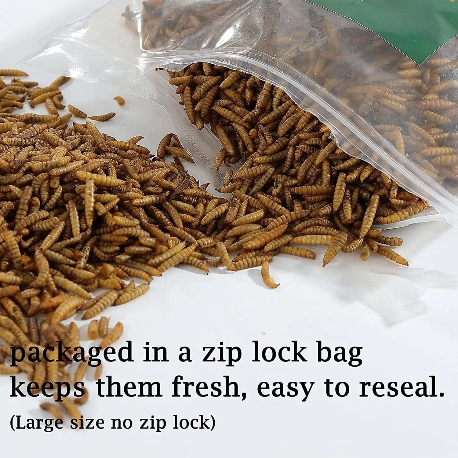 High-Protein Non-GMO Dried Black Soldier Fly Larvae for Poultry, Ducks, Wild Birds, and Reptiles (22 lb)