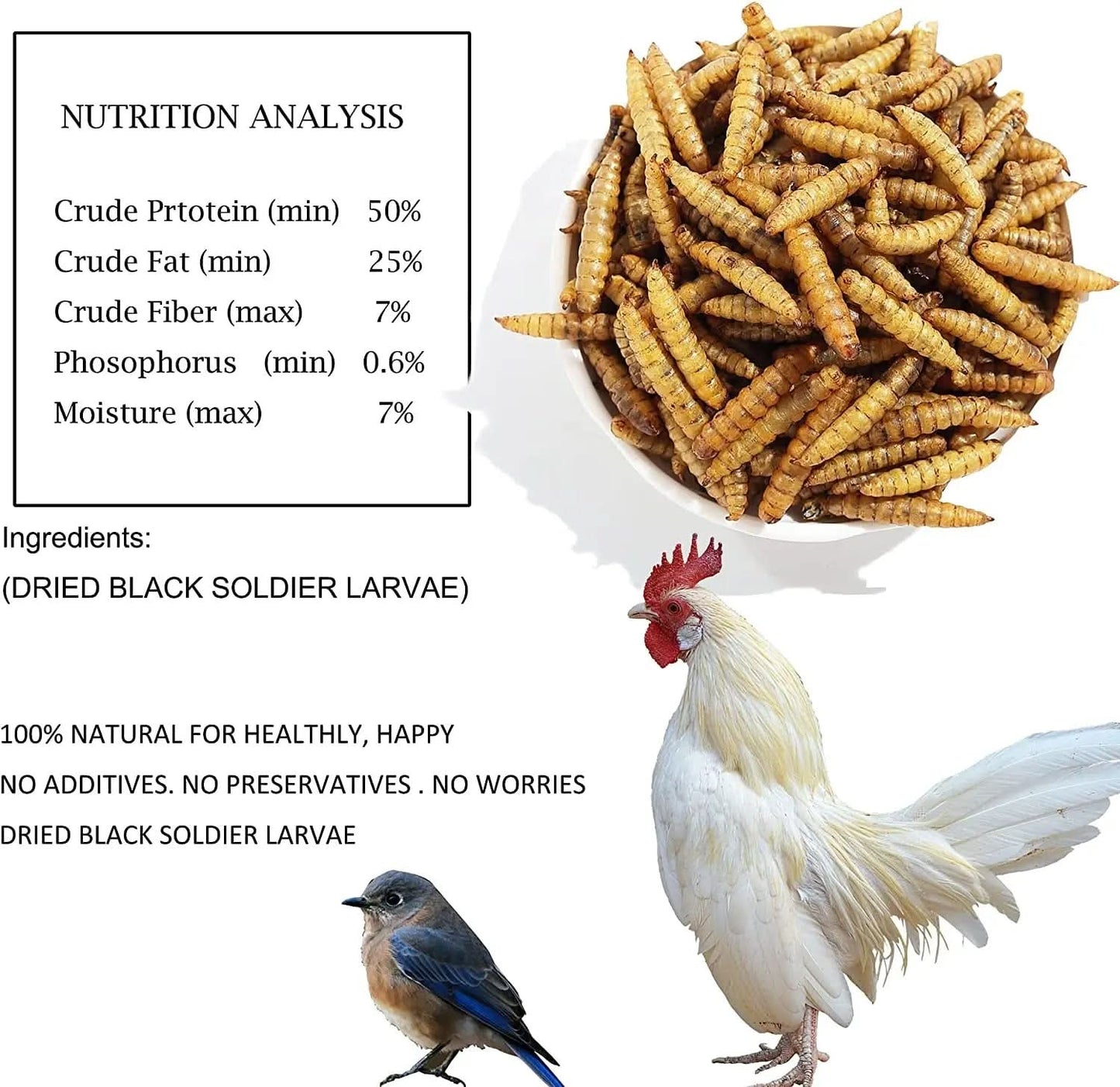 High-Protein Non-GMO Dried Black Soldier Fly Larvae for Poultry, Ducks, Wild Birds, and Reptiles (22 lb)