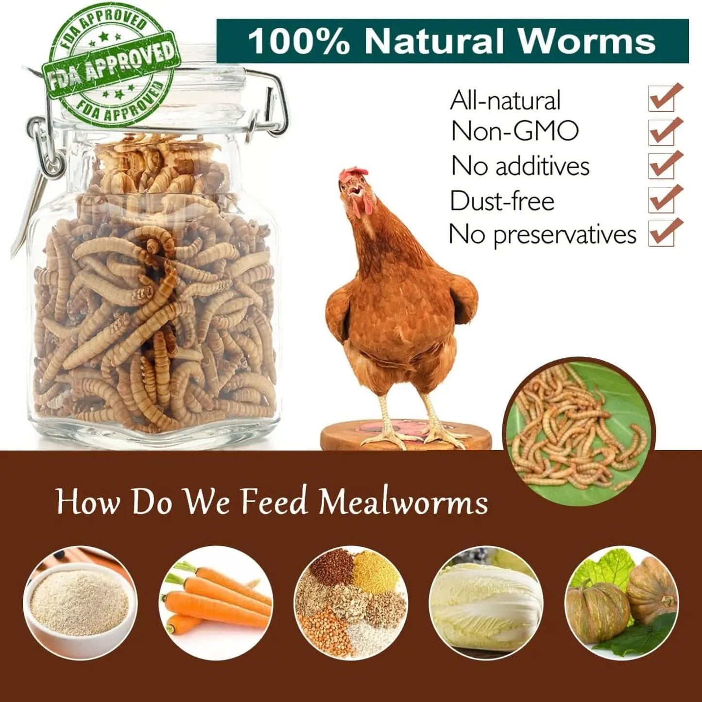 High-Protein Non-GMO Dried Mealworms for Chickens and Poultry - Versatile Treats for Ducks, Wild Birds, Fish, Reptiles, and Amphibians (5 lb)