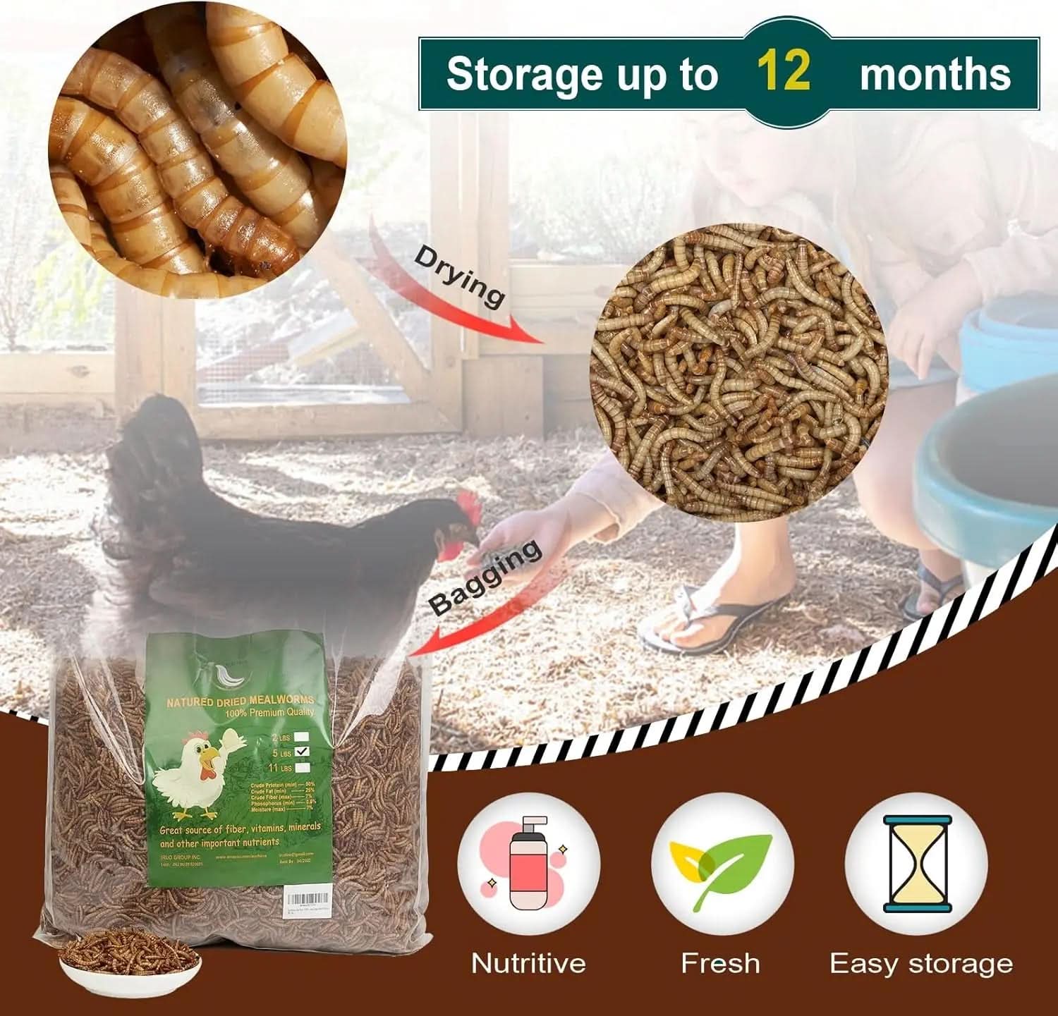 High-Protein Non-GMO Dried Mealworms for Chickens and Poultry - Versatile Treats for Ducks, Wild Birds, Fish, Reptiles, and Amphibians (5 lb)