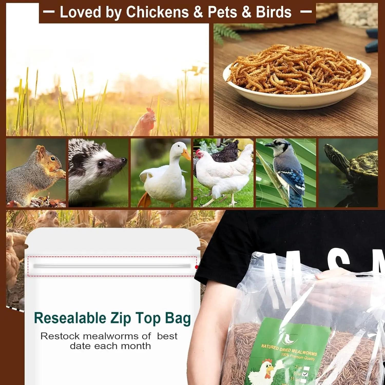 High-Protein Non-GMO Dried Mealworms for Chickens and Poultry - Versatile Treats for Ducks, Wild Birds, Fish, Reptiles, and Amphibians (5 lb)