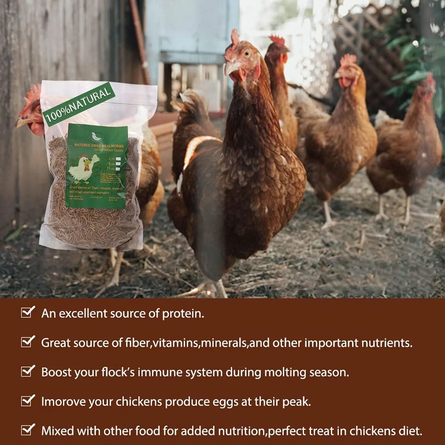 High-Protein Non-GMO Dried Mealworms for Chickens and Poultry - Versatile Treats for Ducks, Wild Birds, Fish, Reptiles, and Amphibians (5 lb)