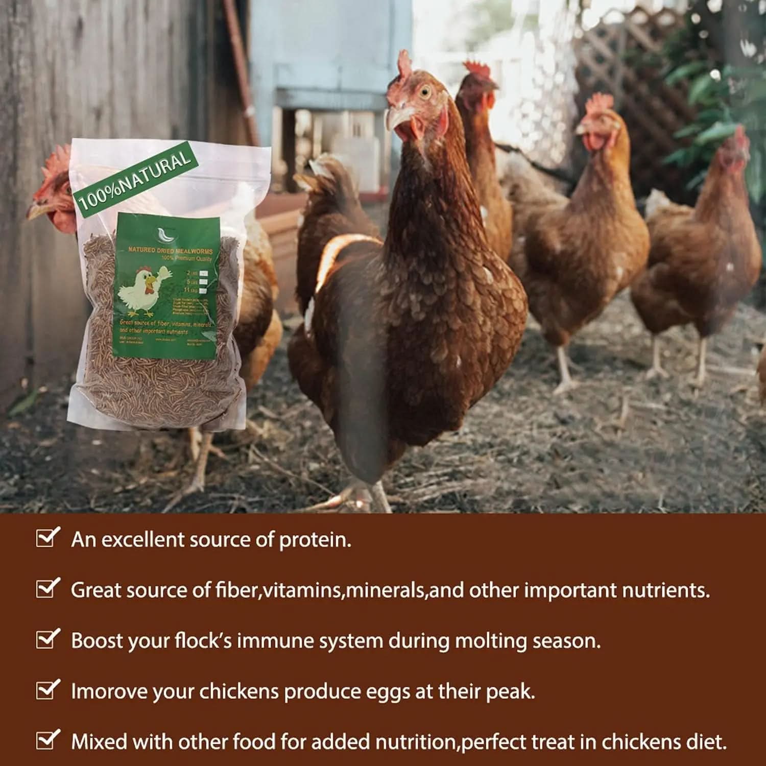 High-Protein Non-GMO Dried Mealworms for Chickens and Poultry - Versatile Treats for Ducks, Wild Birds, Fish, Reptiles, and Amphibians (5 lb)