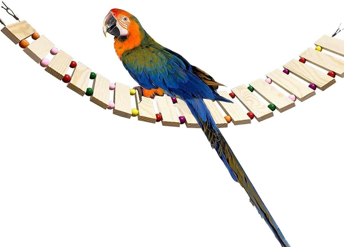 Natural Wood Chicken Coop Accessories: Ladder, Swing, and Perch Stand for Poultry and Roosters