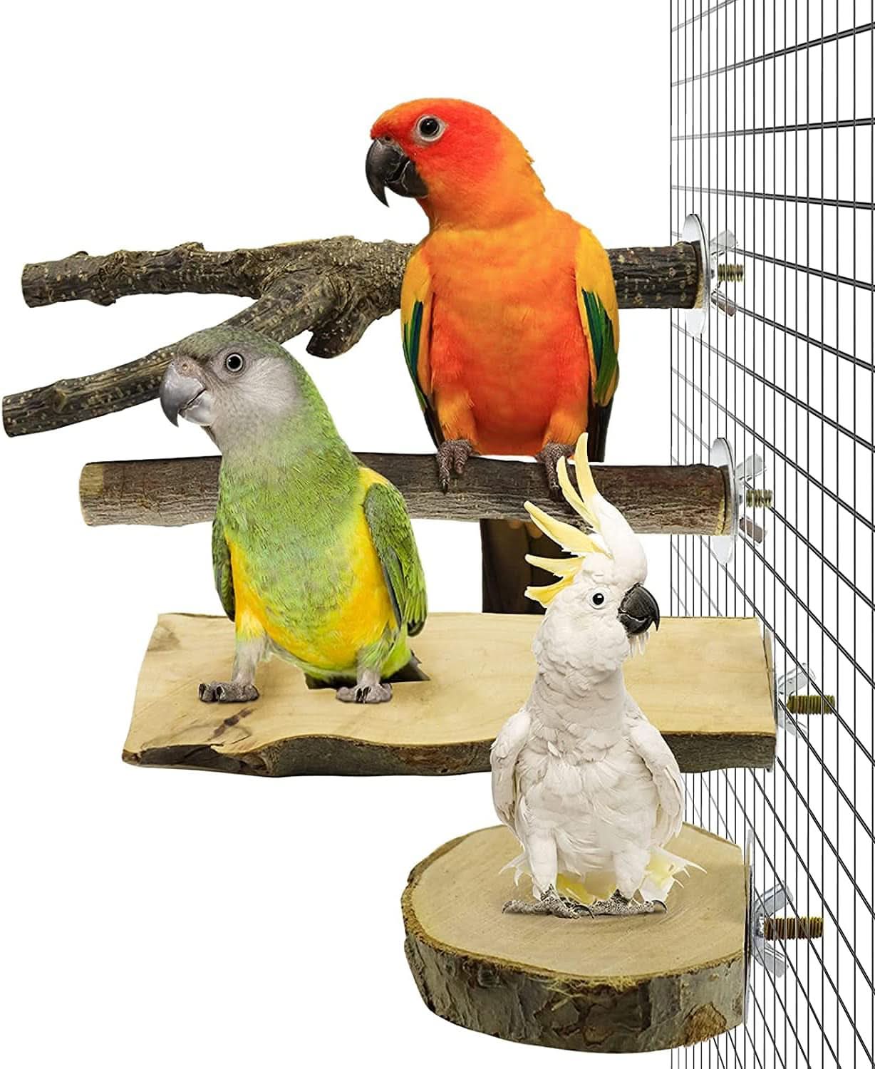 Natural Wooden Bird Perches and Grinding Sticks for Parakeets, Cockatiels, Lovebirds, Budgies, and Conures - 4 Pack