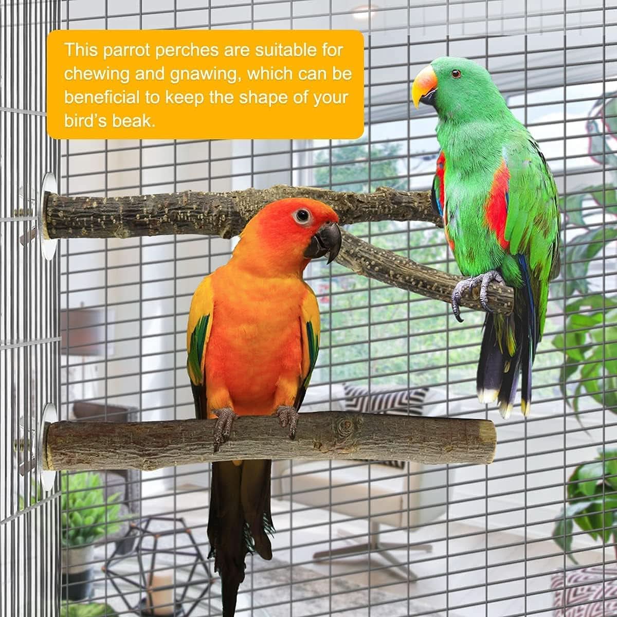 Natural Wooden Bird Perches and Grinding Sticks for Parakeets, Cockatiels, Lovebirds, Budgies, and Conures - 4 Pack
