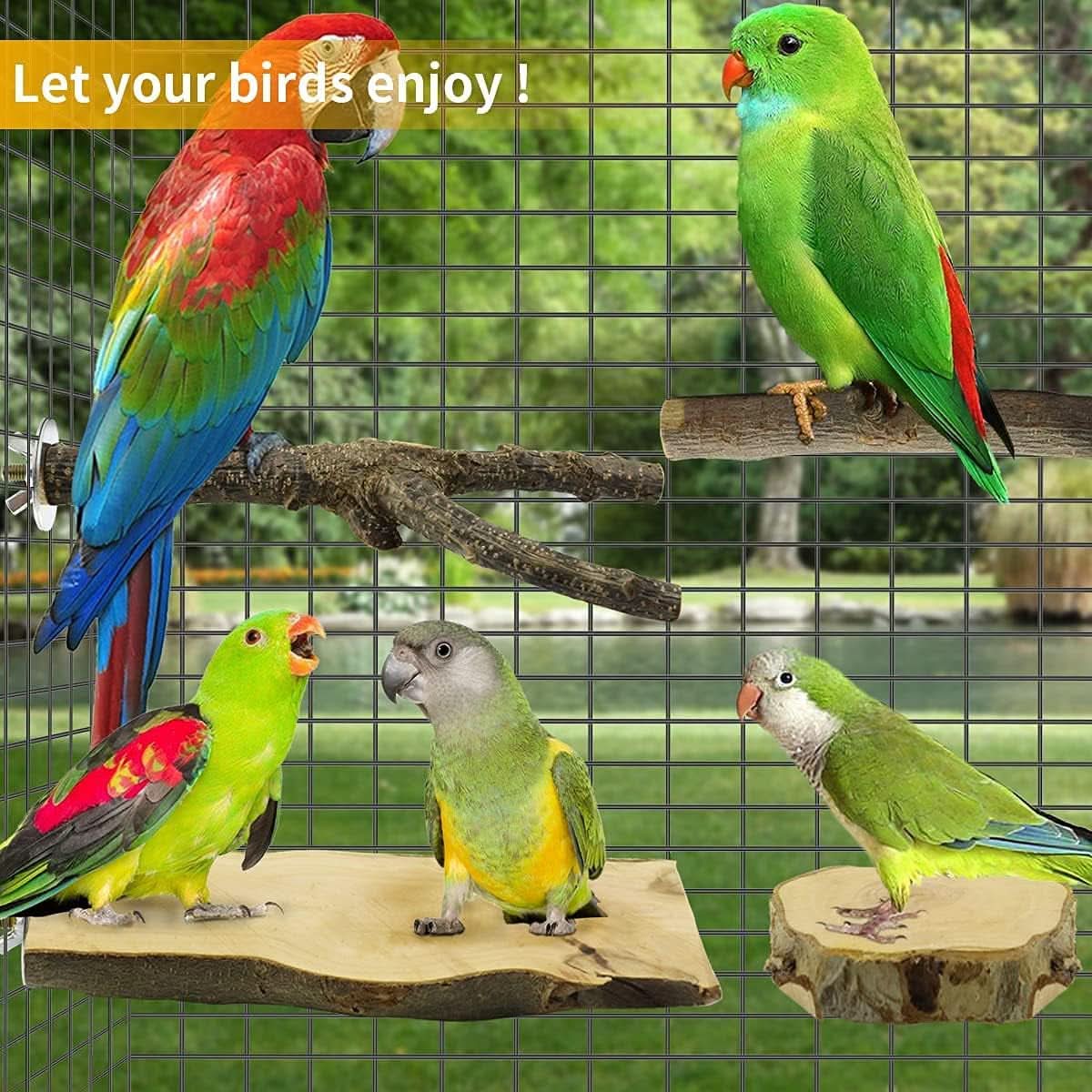 Natural Wooden Bird Perches and Grinding Sticks for Parakeets, Cockatiels, Lovebirds, Budgies, and Conures - 4 Pack