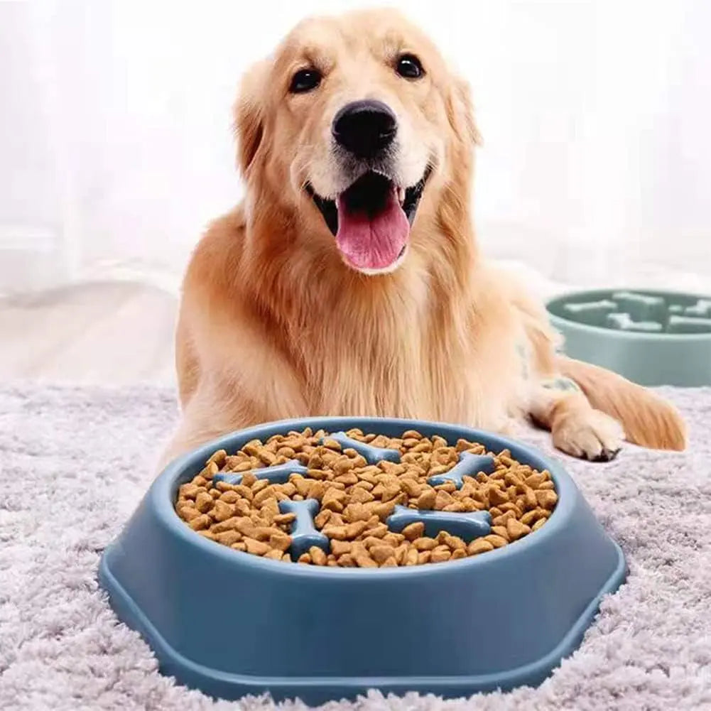 Non-Skid Slow Feeder Bowl for Dogs and Cats, Durable Design to Prevent Choking, Ideal for Medium and Small Pets, Blue
