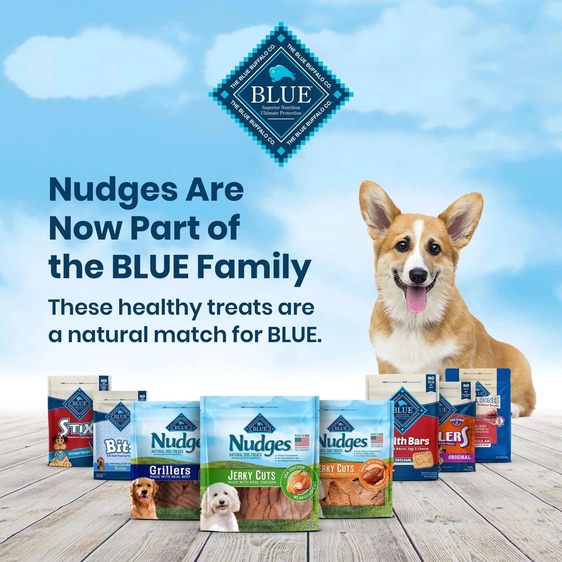 Nudges® Natural Dog Treats Grillers Made with Real Chicken, 10 Oz