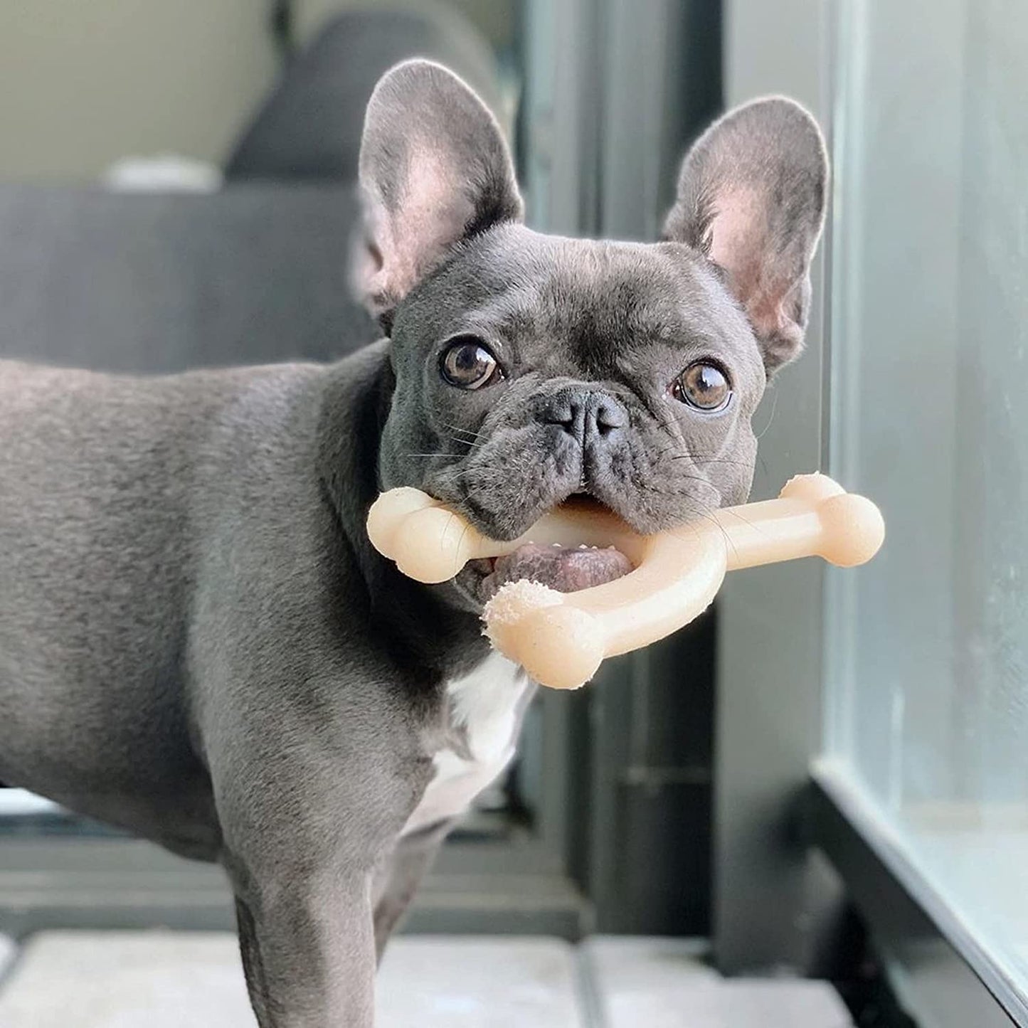 Power Chew Medium Dog Toy Bundle for Dogs Up to 30 Pounds
