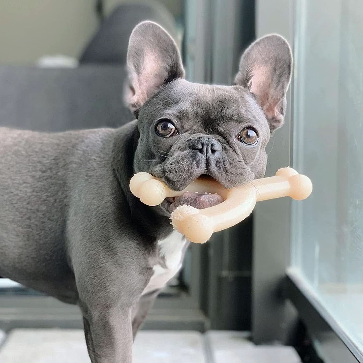 Power Chew Medium Dog Toy Bundle for Dogs Up to 30 Pounds