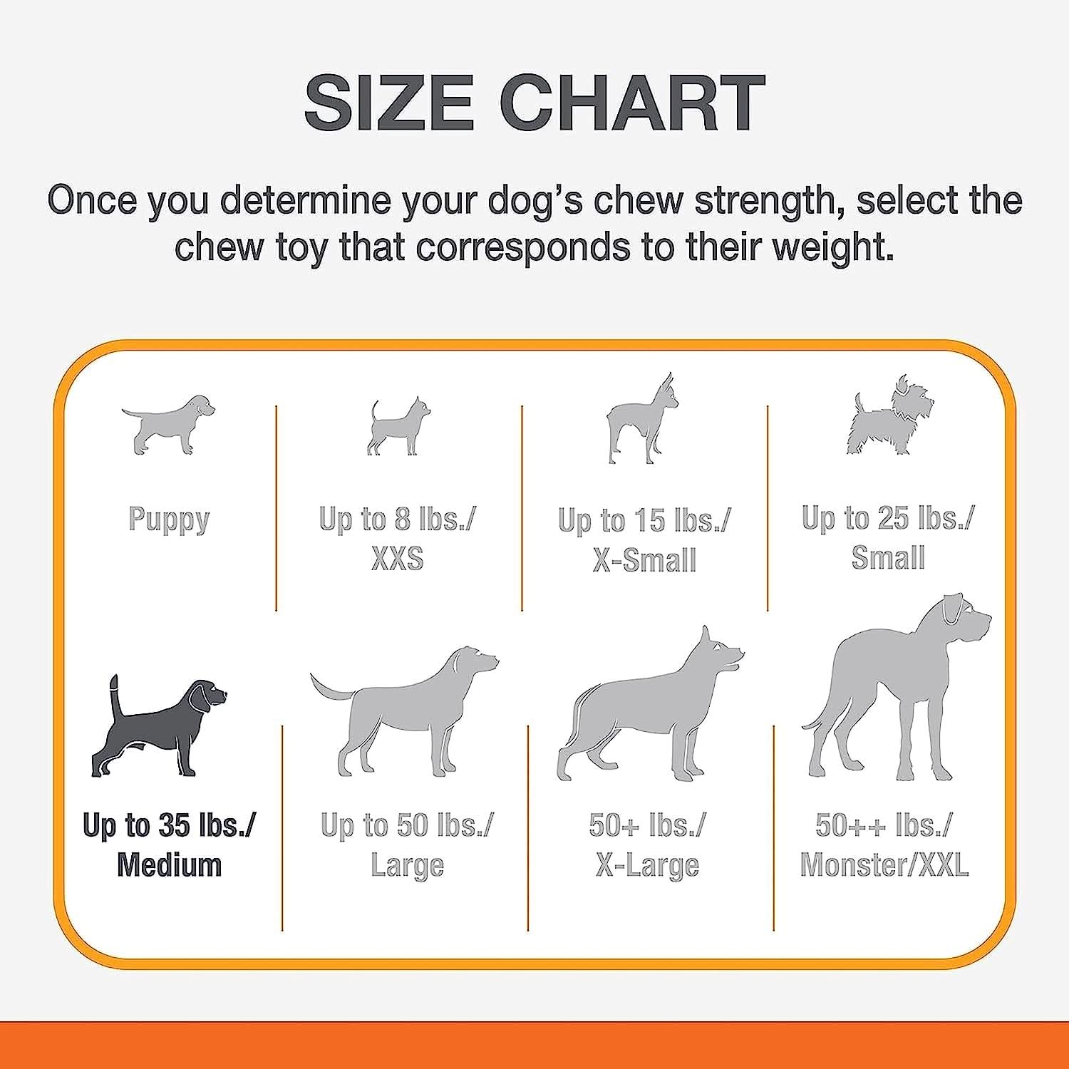 Power Chew Medium Dog Toy Bundle for Dogs Up to 30 Pounds