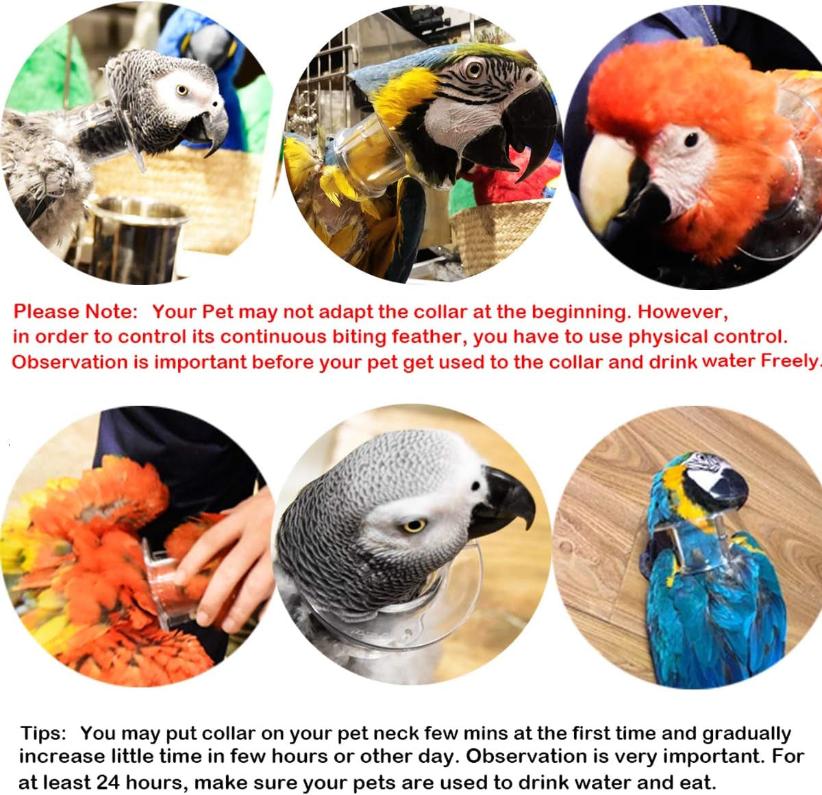 Protective Recovery Collar for Parrots - Anti-Bite and Feather Lick Wound Healing Neck Cover for Macaws, African Budgies, Parakeets, Agapornis, and Cockatiels