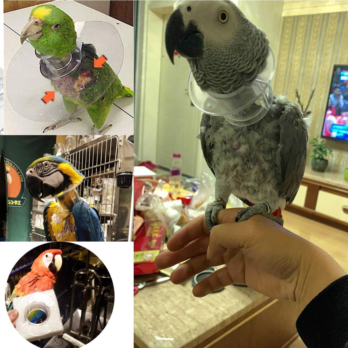 Protective Recovery Collar for Parrots - Anti-Bite and Feather Lick Wound Healing Neck Cover for Macaws, African Budgies, Parakeets, Agapornis, and Cockatiels