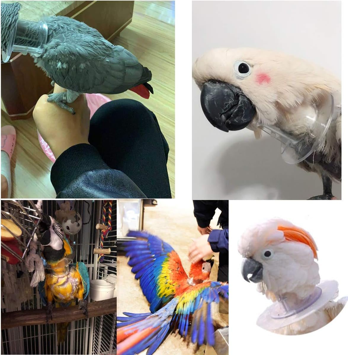 Protective Recovery Collar for Parrots - Anti-Bite and Feather Lick Wound Healing Neck Cover for Macaws, African Budgies, Parakeets, Agapornis, and Cockatiels