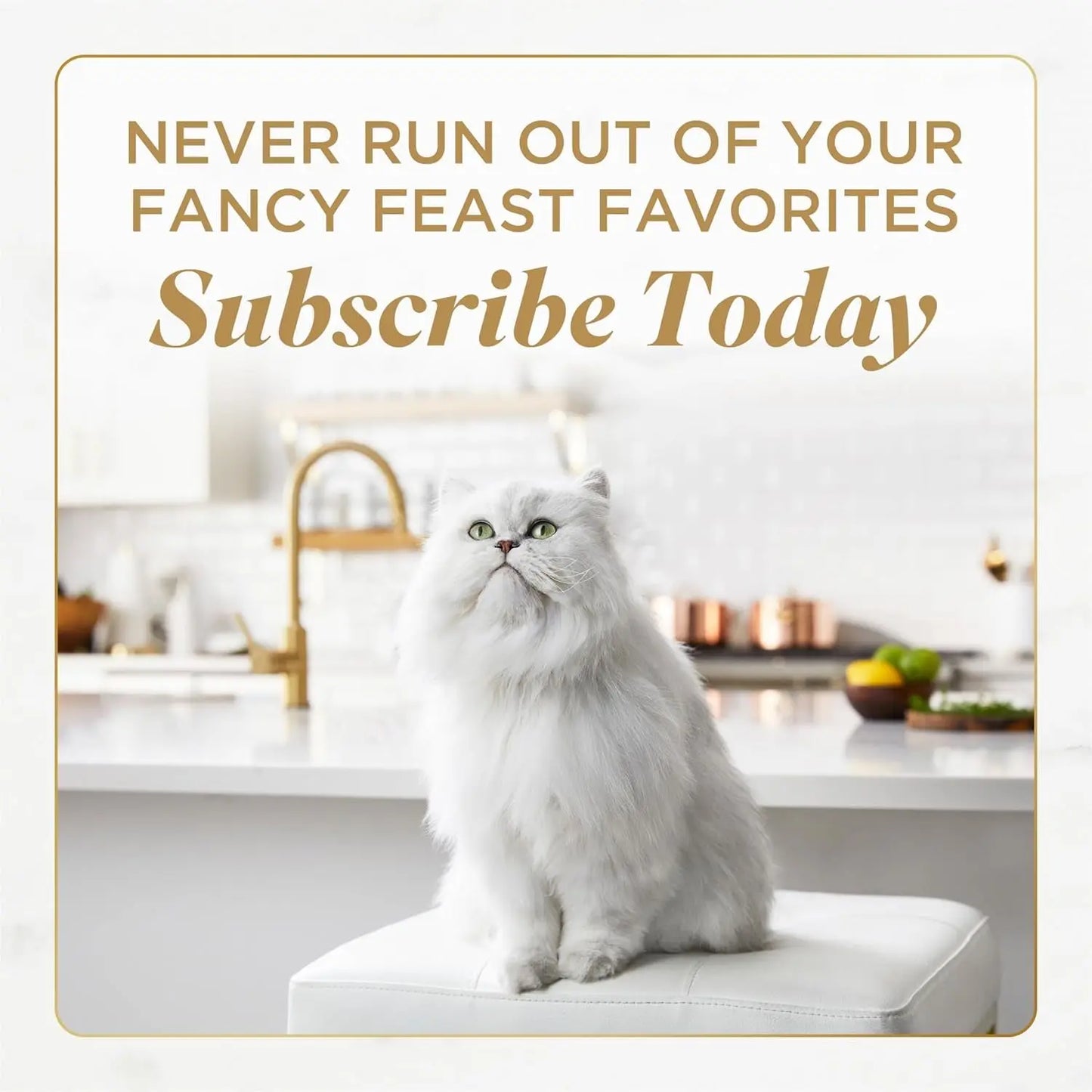 Purina Petites Gourmet Wet Cat Food Pâté Tender Beef Entrée - Pack of 12 Tubs (2.8 Oz. Each)