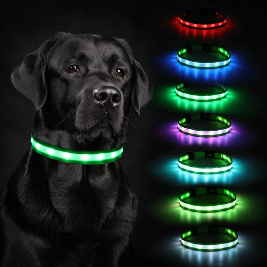 Rechargeable LED Dog Collar with USB Charger - 2020 Model for Enhanced Night Safety, Available in Medium Size with 8 Color Options for Small, Medium, and Large Dogs