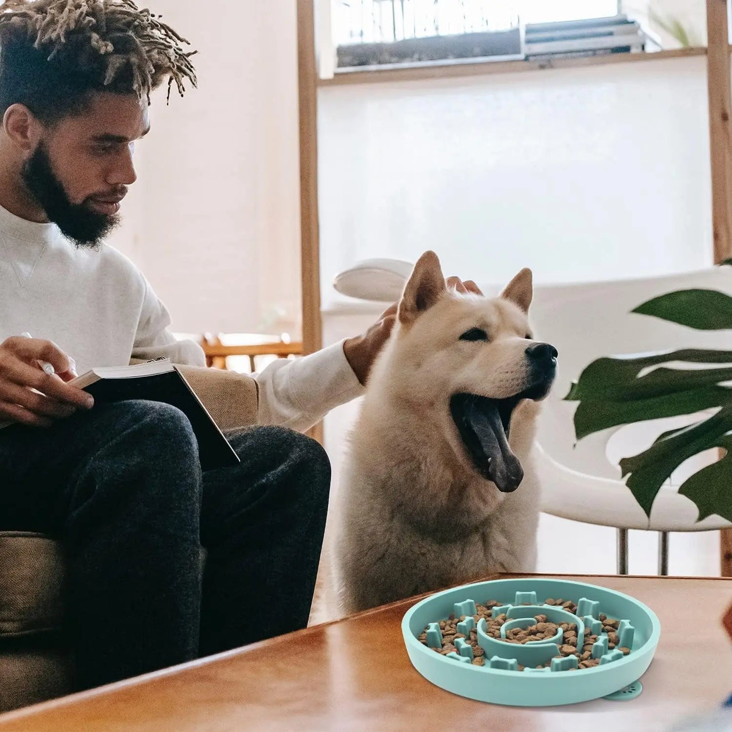 Set of 2 Slow Feeder Dog Bowls with Anti-Tipping Suction Cup Base, Silicone Design to Prevent Gulping and Vomiting for Dogs and Cats, Easy to Clean