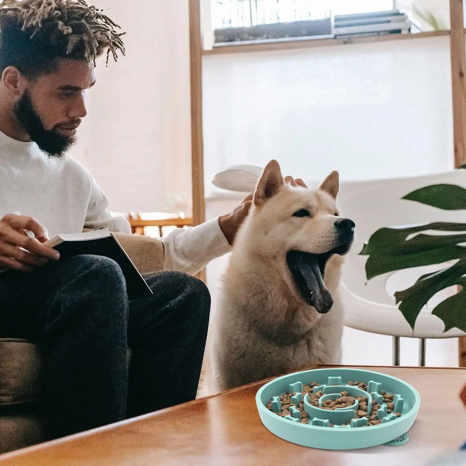 Set of 2 Slow Feeder Dog Bowls with Anti-Tipping Suction Cup Base, Silicone Design to Prevent Gulping and Vomiting for Dogs and Cats, Easy to Clean