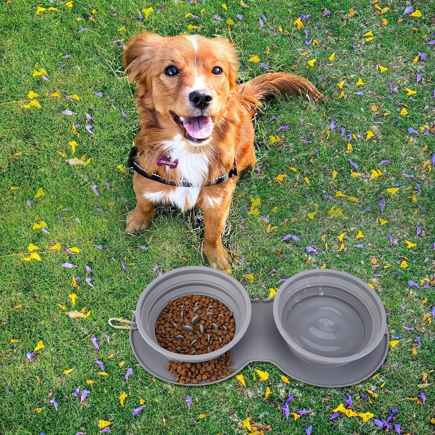 Silicone Slow Feeder Dog Bowl - Non-Toxic, Spill-Proof, and Non-Skid Design for Healthy Eating for Dogs, Puppies, and Cats