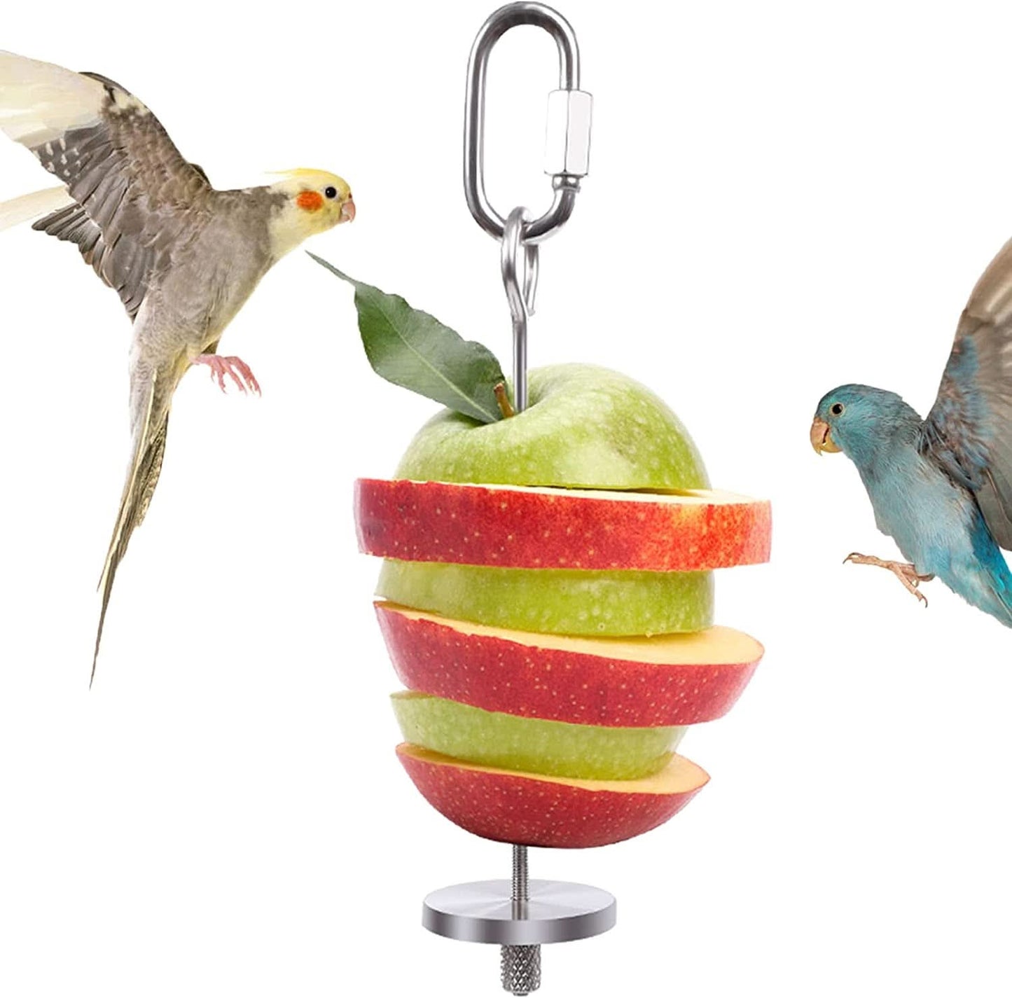 Stainless Steel Bird Food Holder and Foraging Toy for Parrots - Small Size Fruit and Vegetable Skewer